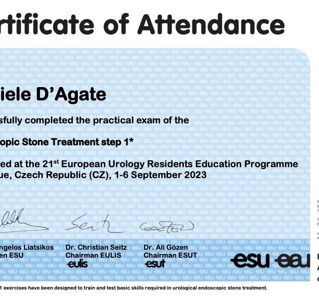 Ingrandire l'immagine: certificate 1