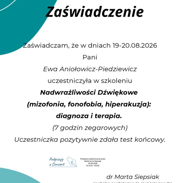 Powiększ obraz: certificate 4