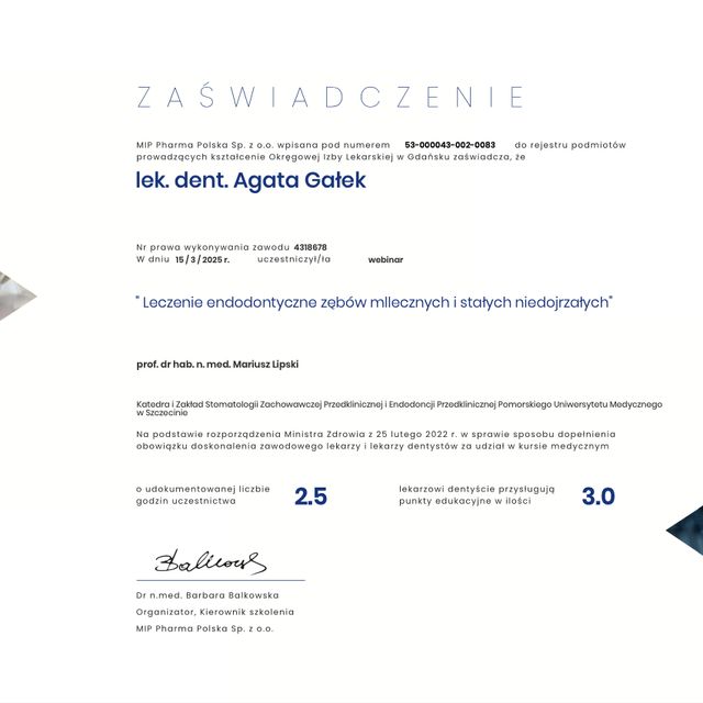 Powiększ obraz: certificate 3