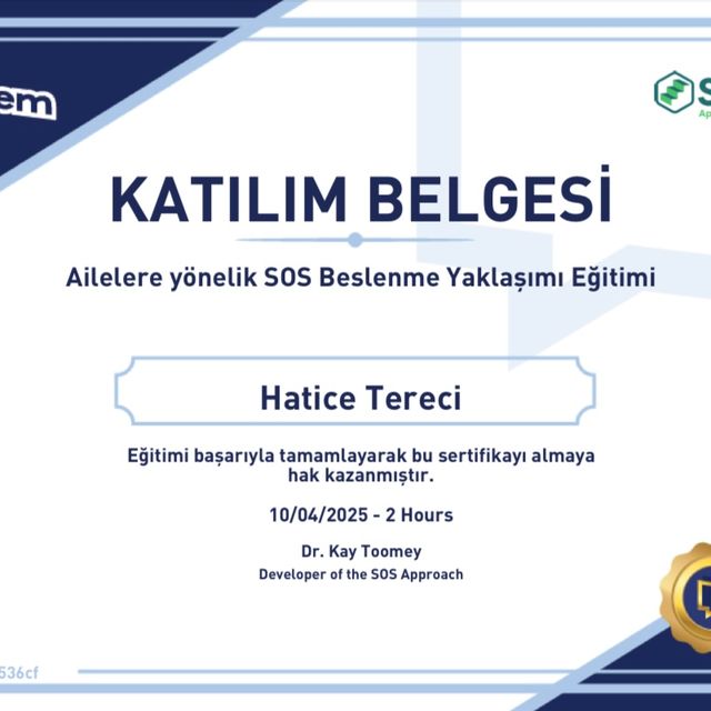 Resmi büyüt: certificate 2