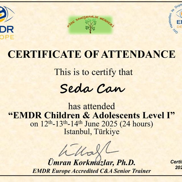 Resmi büyüt: certificate 3