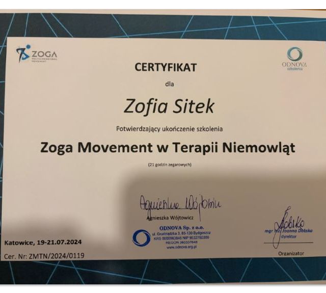 Powiększ obraz: certificate 5