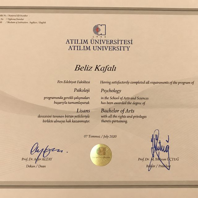 Resmi büyüt: certificate 1