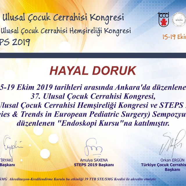 Resmi büyüt: certificate 3