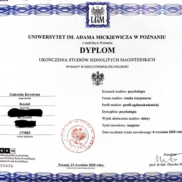 Powiększ obraz: certificate 1