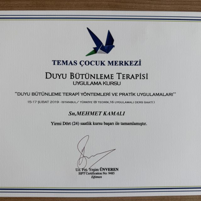 Resmi büyüt: certificate 7