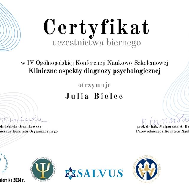 Powiększ obraz: certificate 1