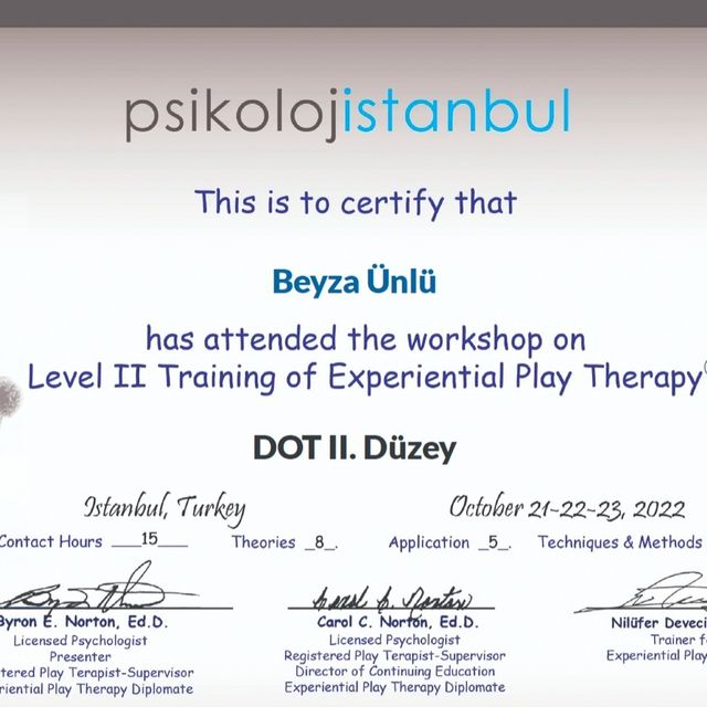 Resmi büyüt: certificate 1