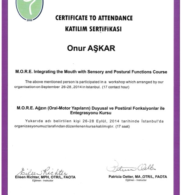 Resmi büyüt: certificate 3