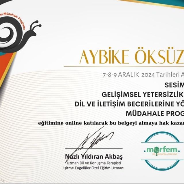 Resmi büyüt: certificate 2