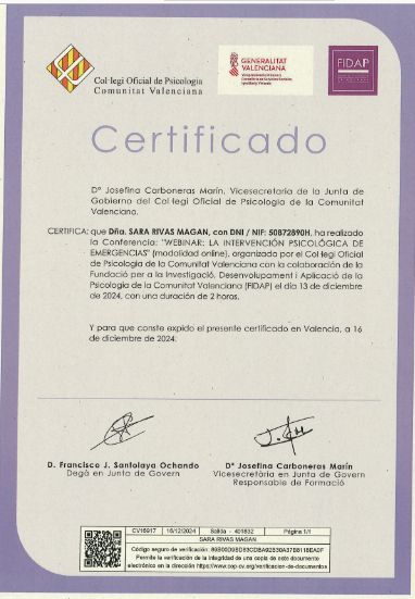 Acercar imagen: certificate 17