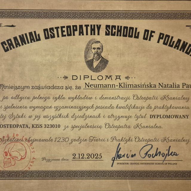 Powiększ obraz: certificate 9