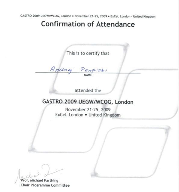 Powiększ obraz: certificate 13