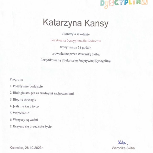Powiększ obraz: certificate 3