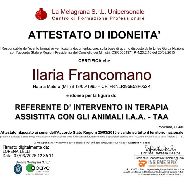 Ingrandire l'immagine: certificate 5