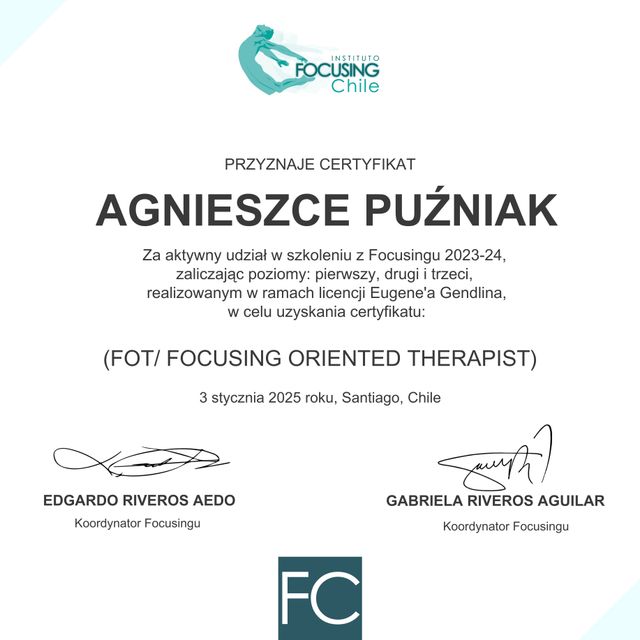 Powiększ obraz: certificate 1