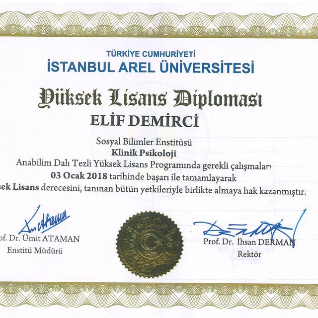 Resmi büyüt: certificate 7