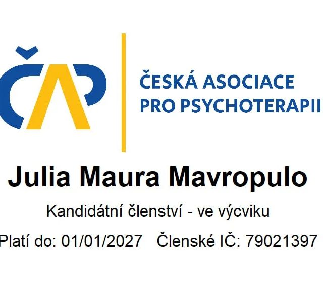 Zvětšit obrázek: certificate 2