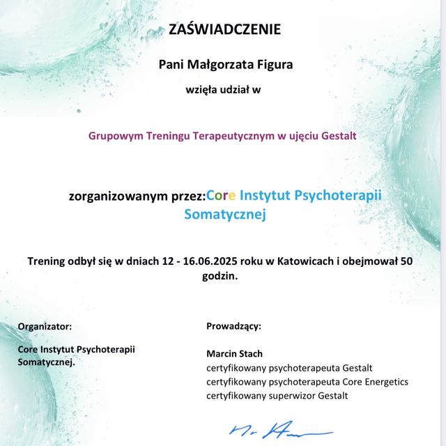 Powiększ obraz: certificate 8