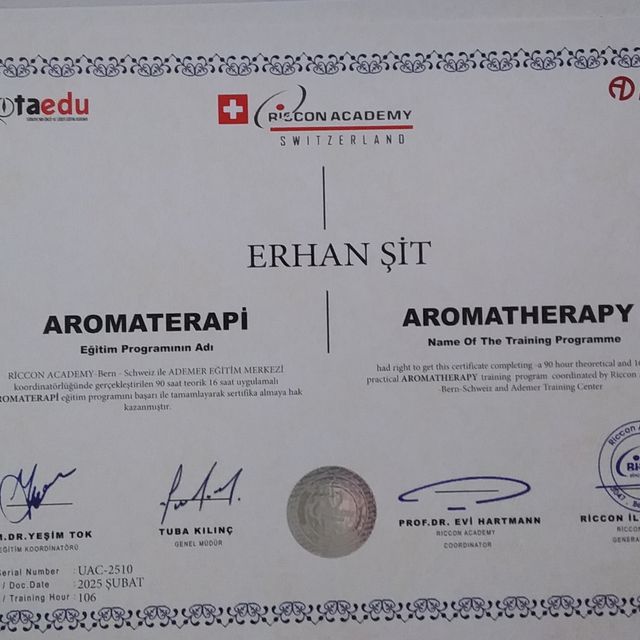 Resmi büyüt: certificate 1