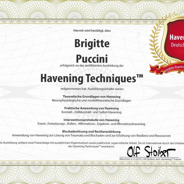 Bild vergrößern: certificate 13