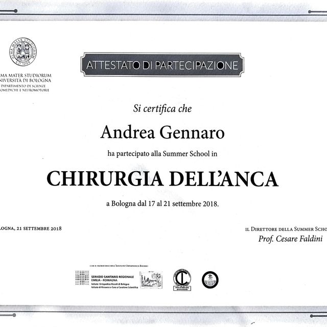 Ingrandire l'immagine: certificate 8