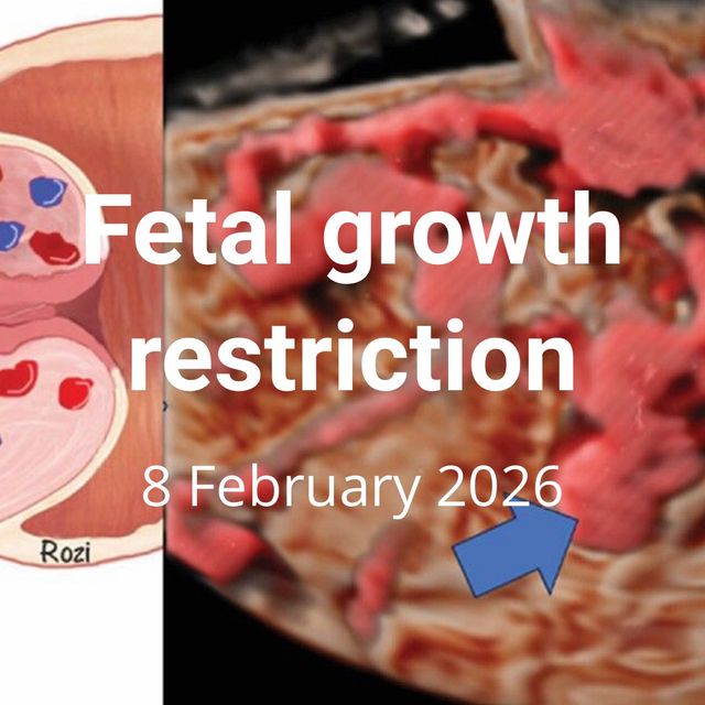 Powiększ obraz: certificate 149