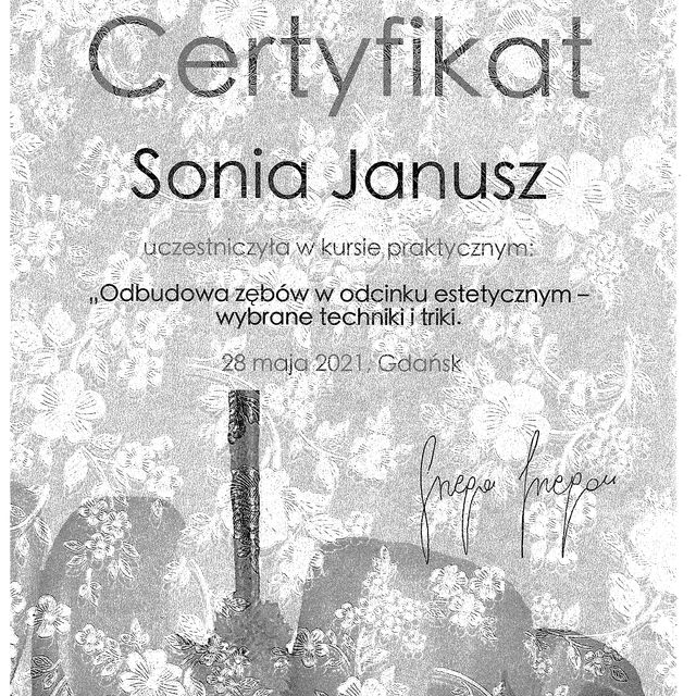 Powiększ obraz: certificate 13