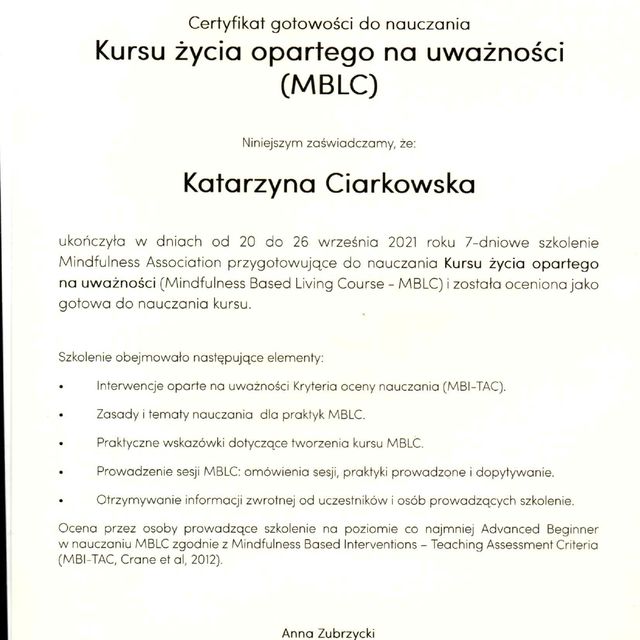 Powiększ obraz: certificate 2