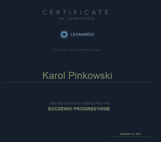Powiększ obraz: certificate 1