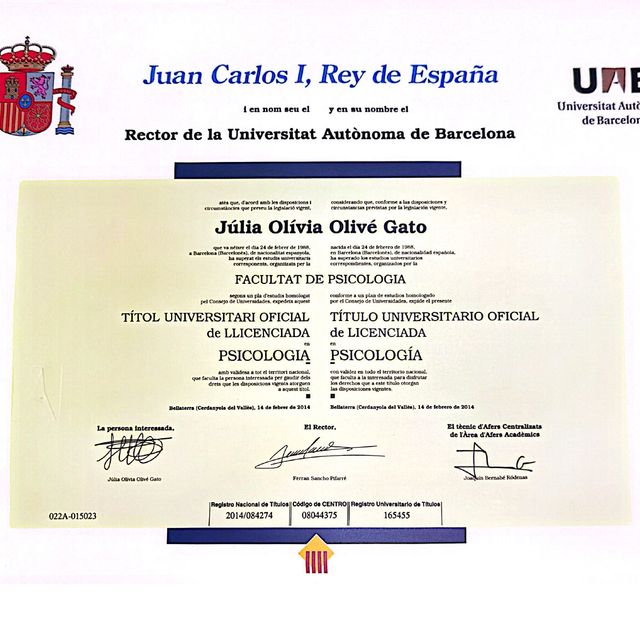 Acercar imagen: certificate 3