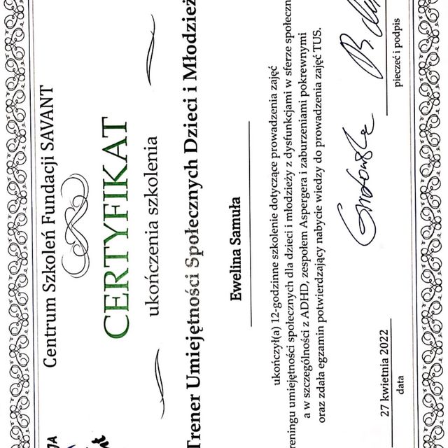 Powiększ obraz: certificate 1