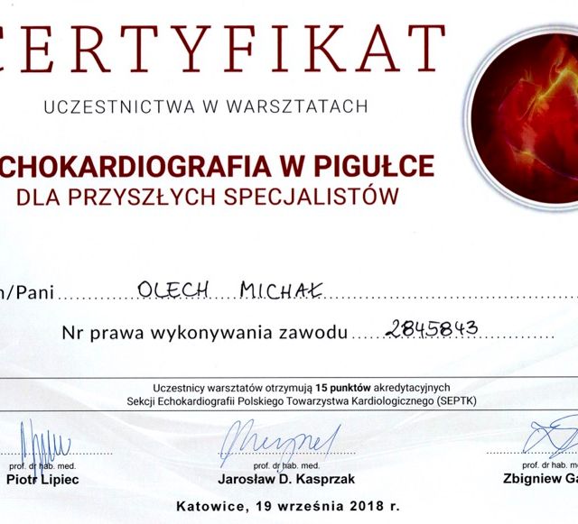 Powiększ obraz: certificate 2