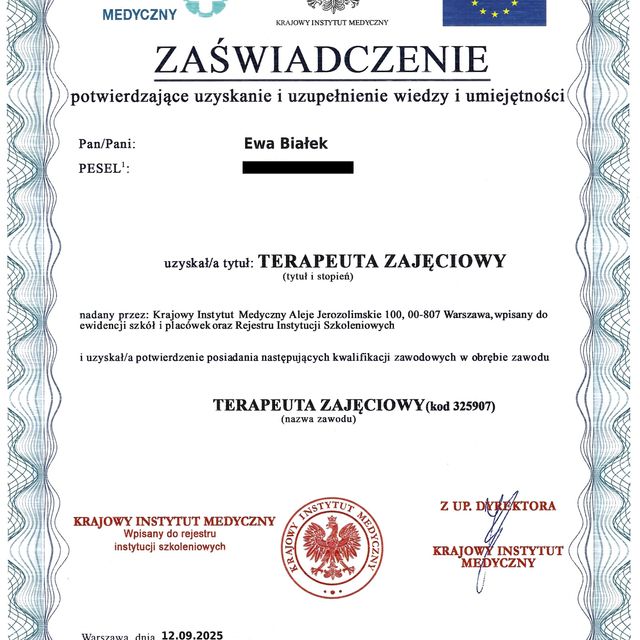 Powiększ obraz: certificate 3