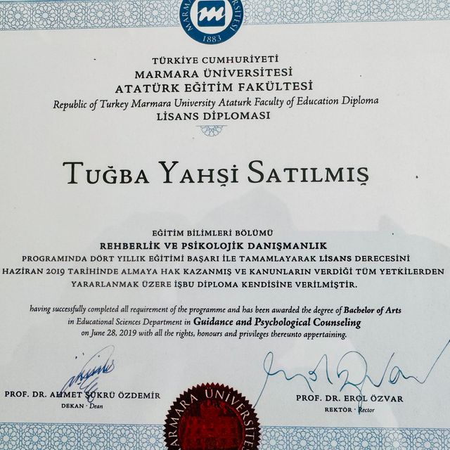 Resmi büyüt: certificate 9