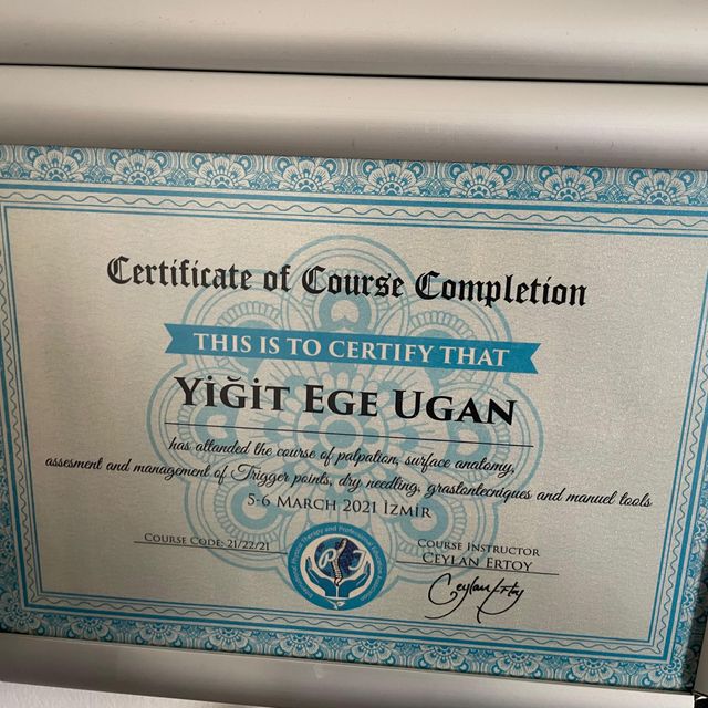 Resmi büyüt: certificate 2