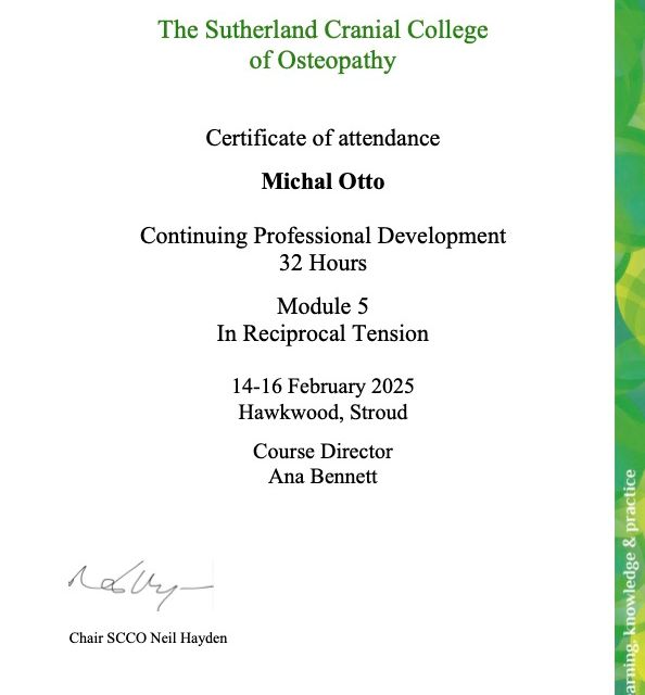 Powiększ obraz: certificate 9