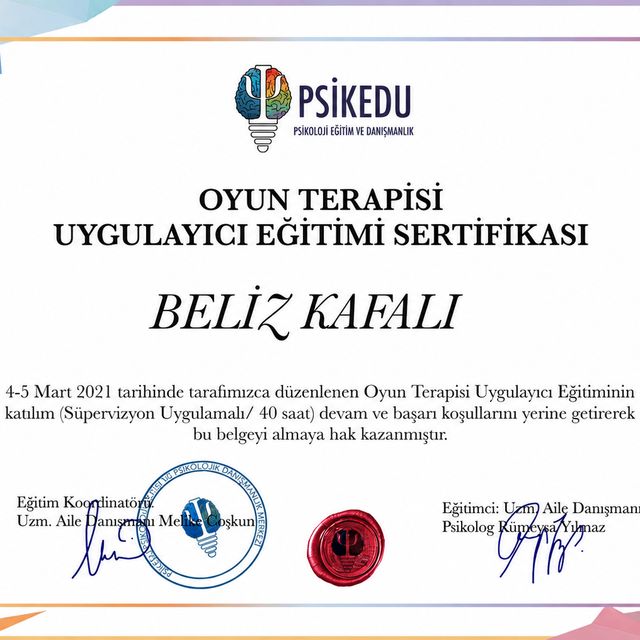Resmi büyüt: certificate 4