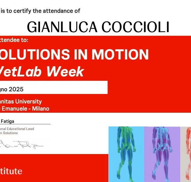 Ingrandire l'immagine: certificate 1