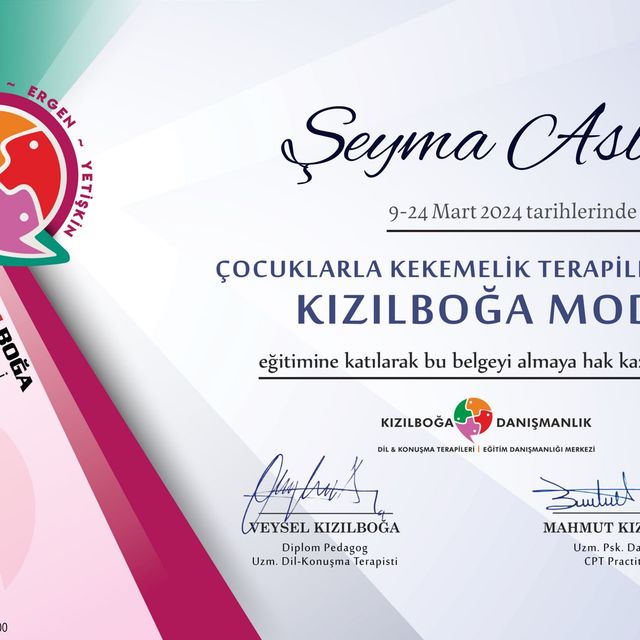 Resmi büyüt: certificate 2