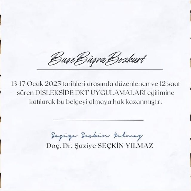 Resmi büyüt: certificate 1