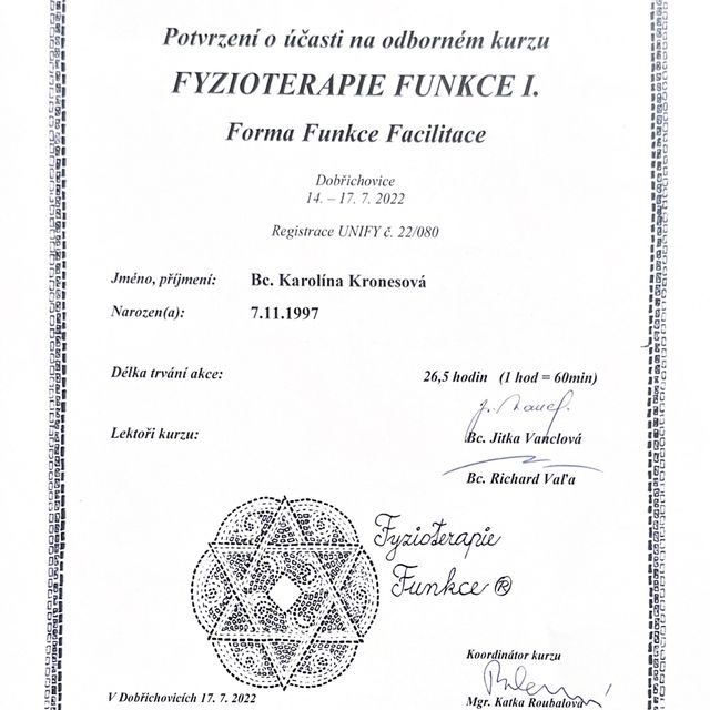 Zvětšit obrázek: certificate 4