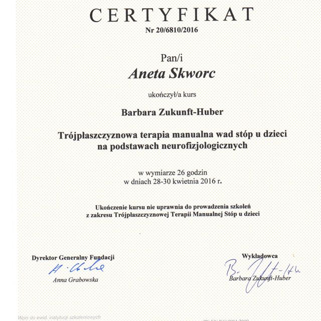 Powiększ obraz: certificate 6