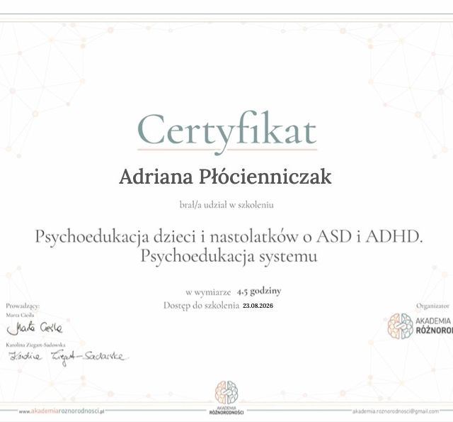 Powiększ obraz: certificate 11