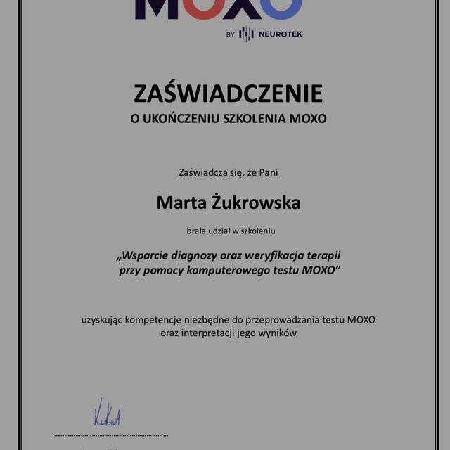 Powiększ obraz: certificate 2
