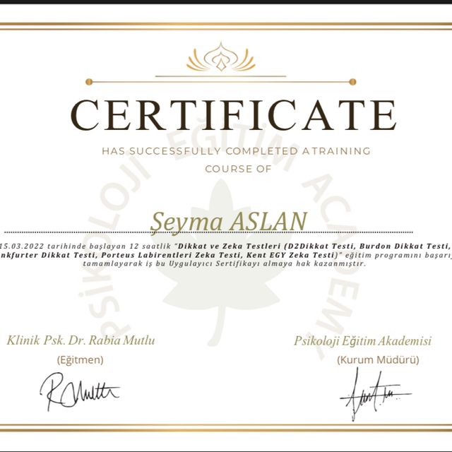 Resmi büyüt: certificate 11