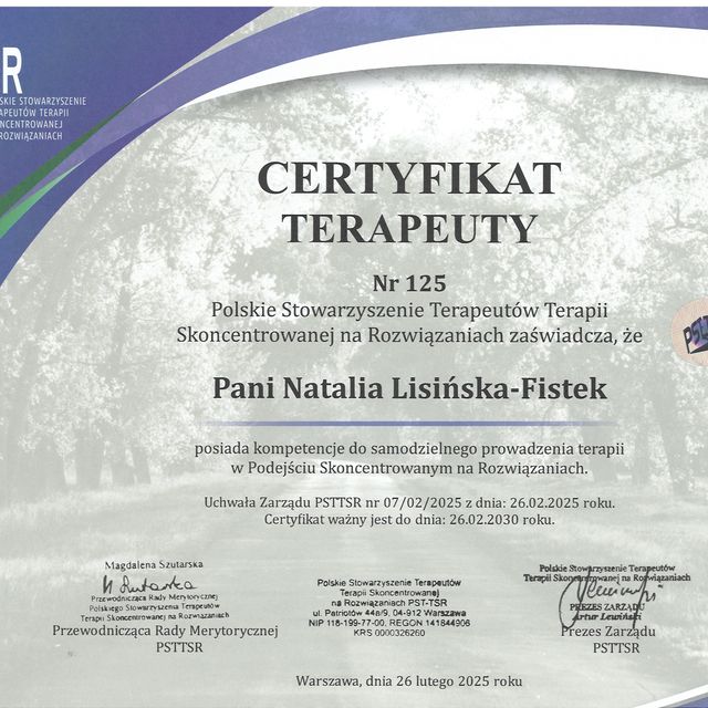 Powiększ obraz: certificate 2