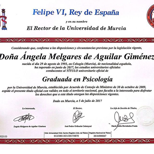 Acercar imagen: certificate 1