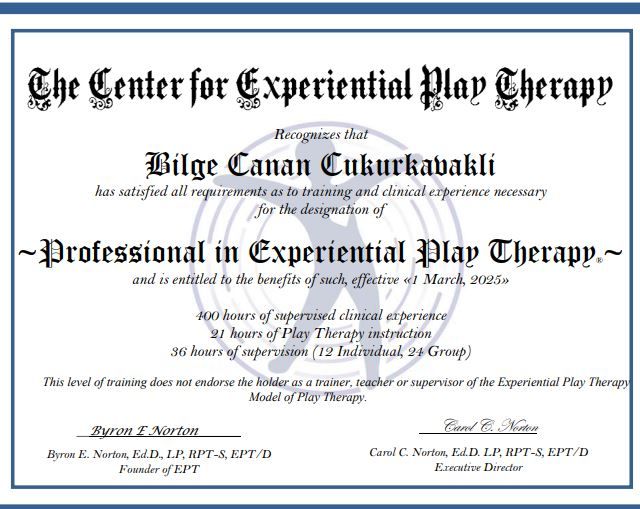 Resmi büyüt: certificate 5