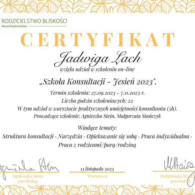 Powiększ obraz: certificate 1